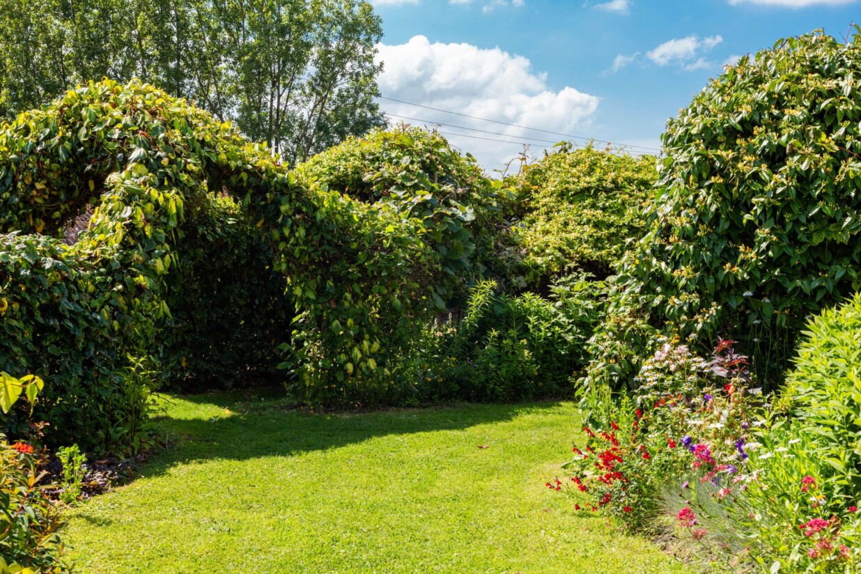 Chartreuse de neuville jardin