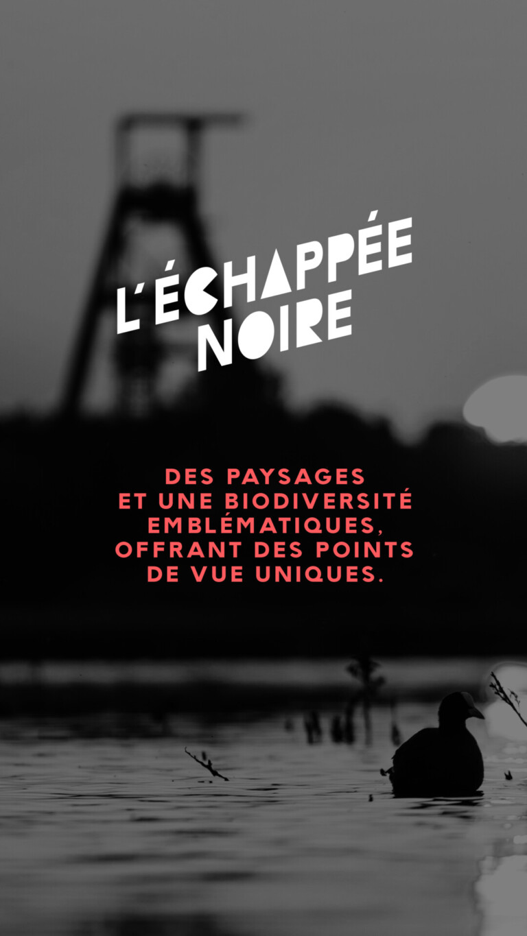 ECHAPPEE NOIRE