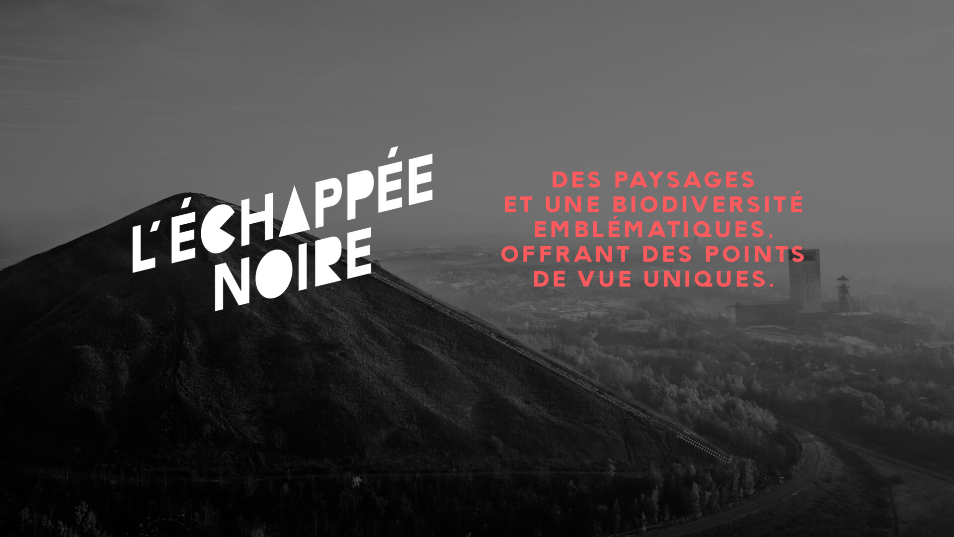 ECHAPPEE NOIRE