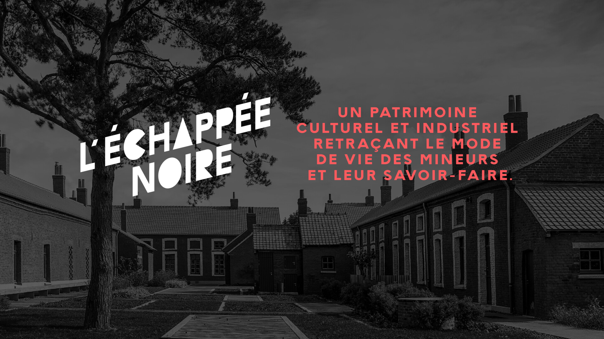 ECHAPPEE NOIRE