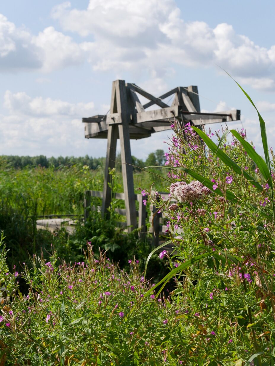 Reserve du Romelaere M ©A Chaput Pas de Calais Tourisme