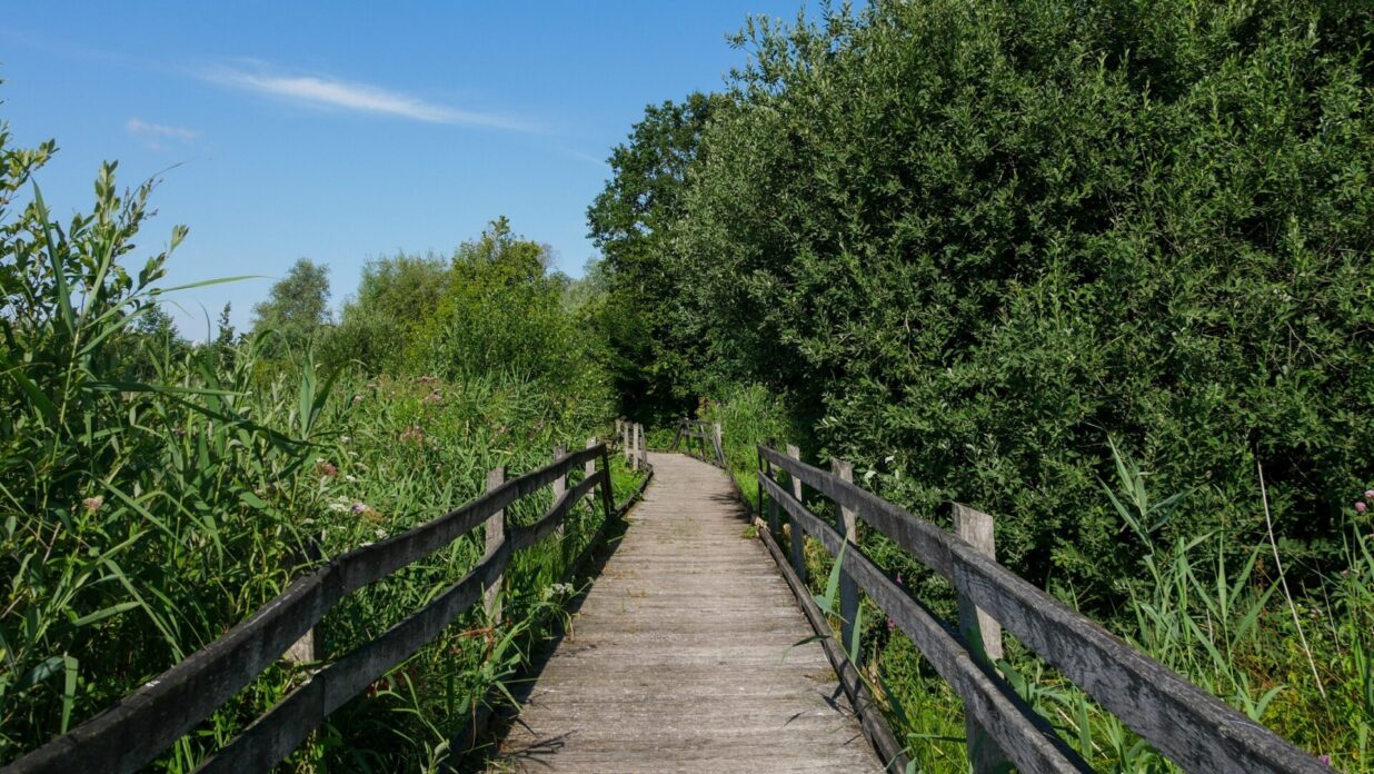 Reserve du Romelaere M ©A Chaput Pas de Calais Tourisme