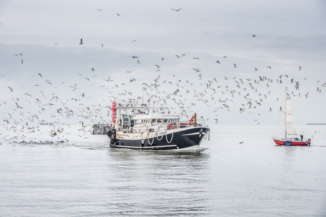 Retour de pêche Boulogne sur Mer M © Fabien Coisy