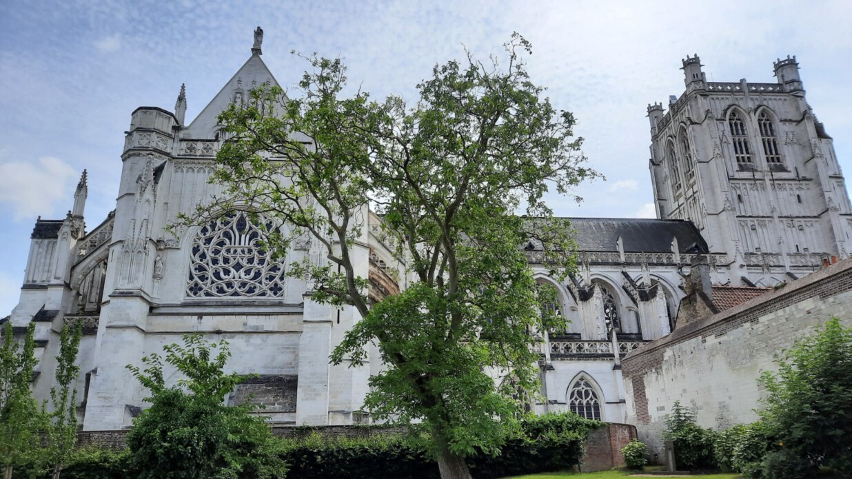 cathedrale saint omer