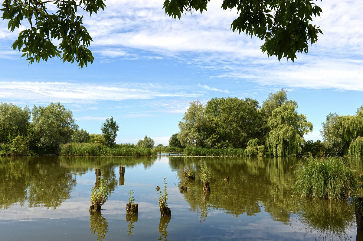 marais saint omer clairmarais