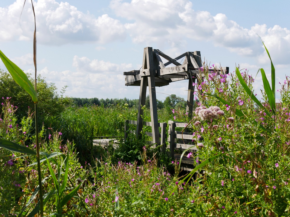 Reserve du Romelaere