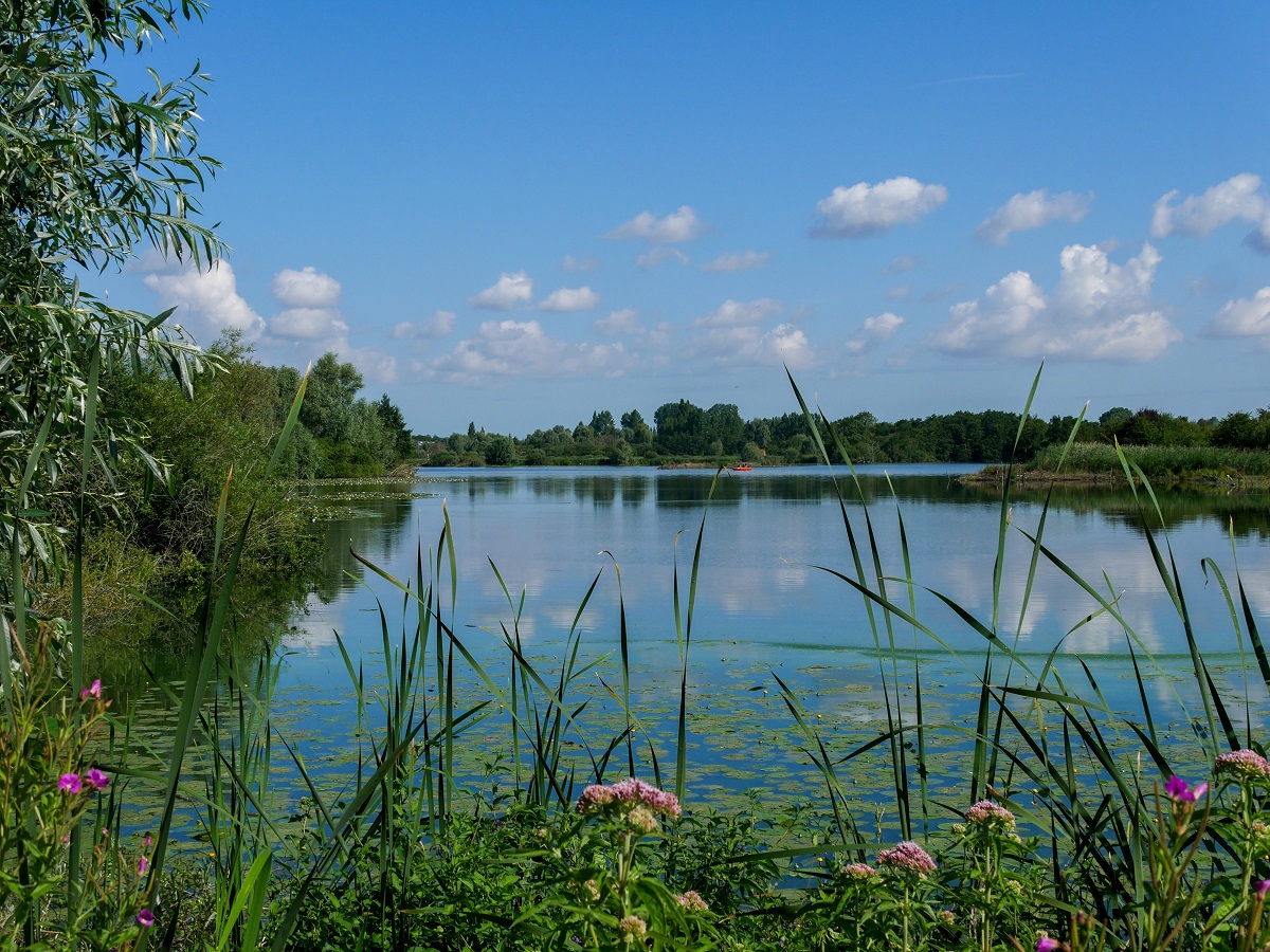 Reserve du Romelaere