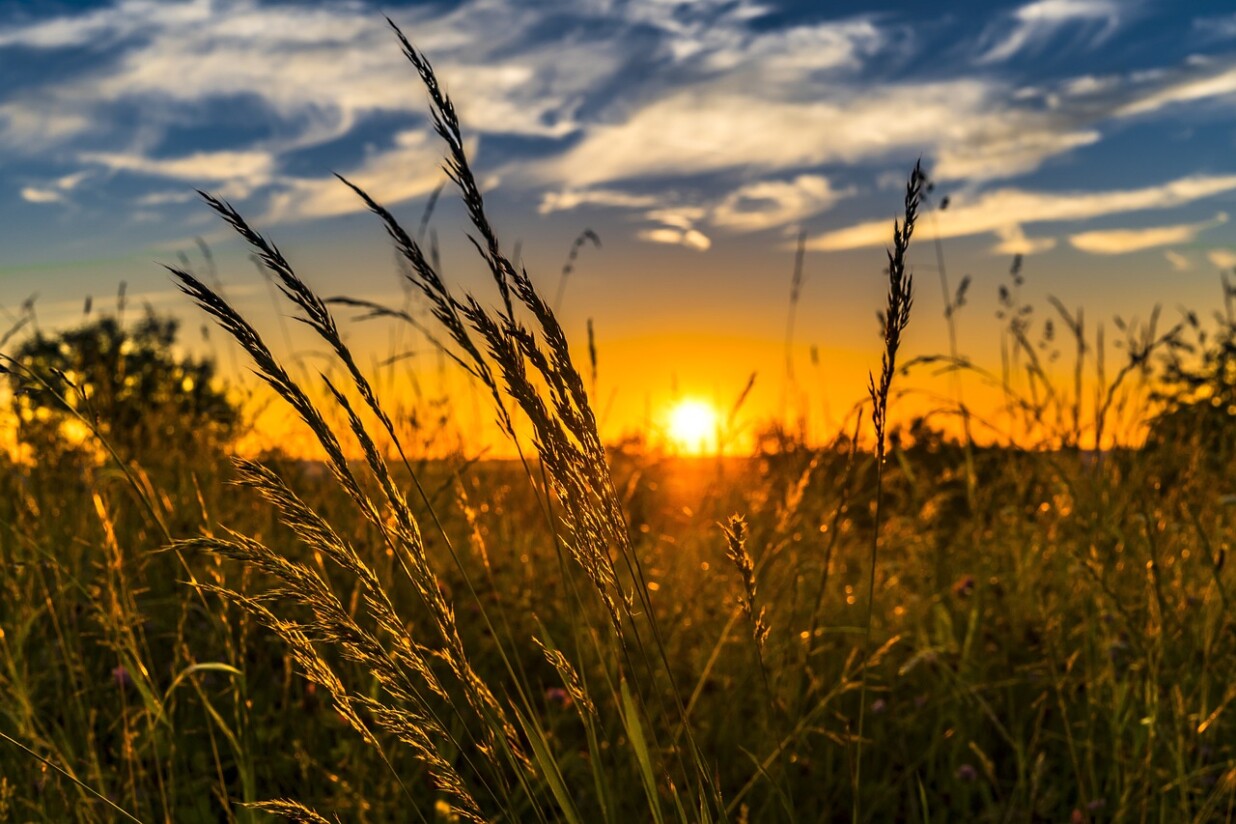 coucher de soleil